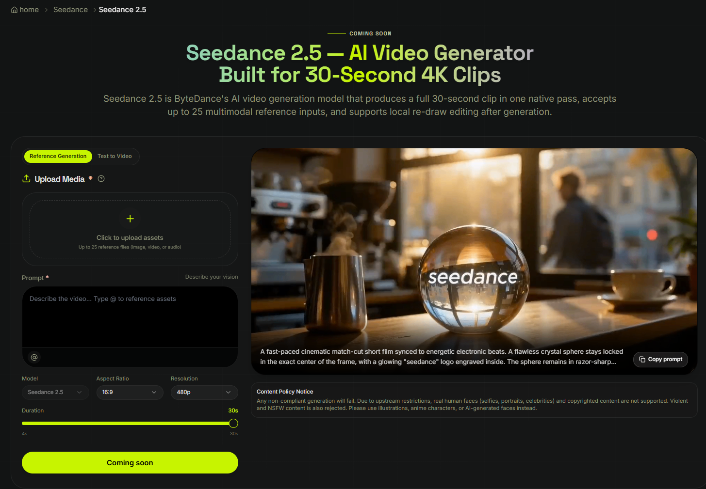 Seedance 2.5 Preview